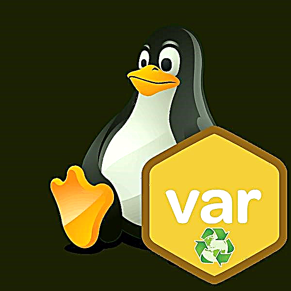 Varyab anviwònman Linux