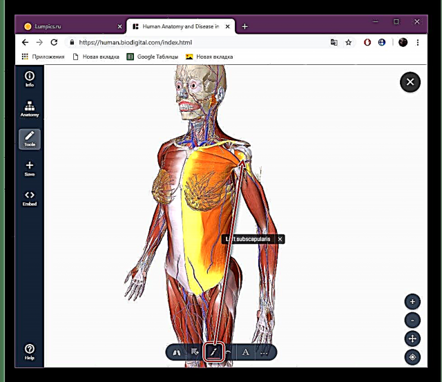 Puna me një model skeleti njerëzor në internet