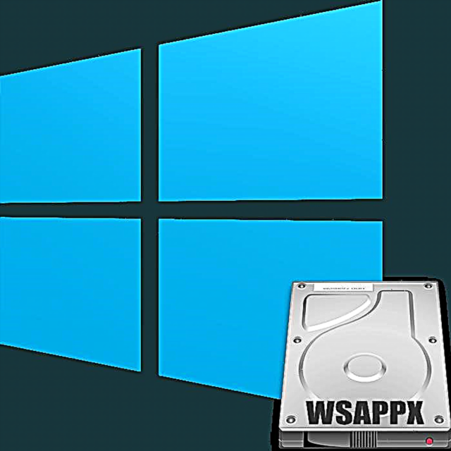 Kini lati ṣe ti ilana WSAPPX ba dirafu lile ni Windows 10