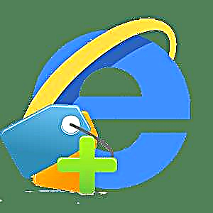Internet Explorer-en hedapen erabilgarriak