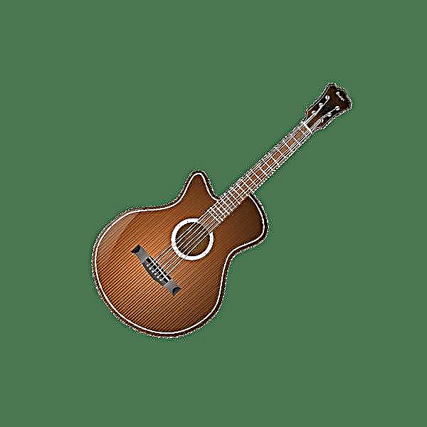 Gitara Camerton 1.0