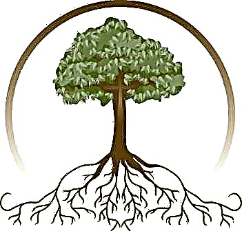 Programas de creación dunha árbore genealóxica