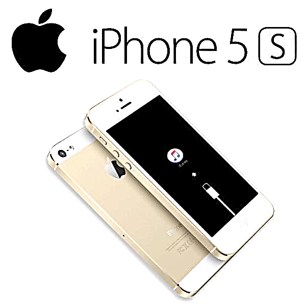 Apple iPhone 5S firmware eta berreskuratzea