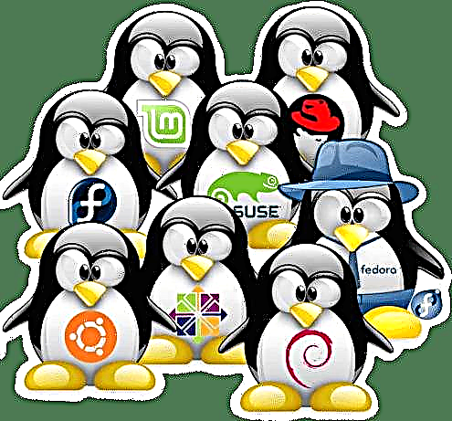 Linux түгээлтийн хувилбарыг олж мэдэх
