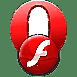 Adobe Flash Player di browser Opera: masalah pamasangan