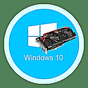 Rigardu videokartan modelon en Windows 10