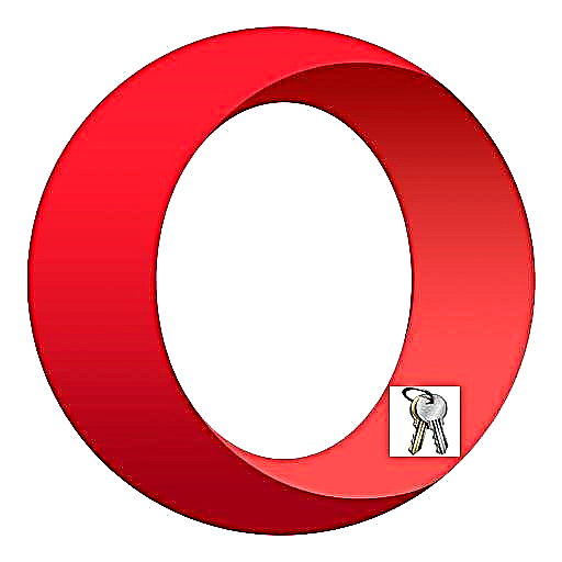 Tembung sandhi ing Opera browser: lokasi panyimpenan