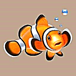Clownfish nola erabili