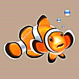 Wéi Clownfish ze benotzen