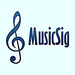 MusicSig: ychwanegiad porwr ar gyfer gwefan Vkontakte